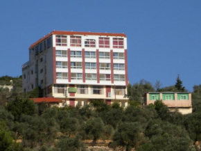Гостиница Ajloun Hotel  Ajloun